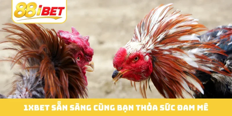 1XBET sẵn sàng cùng bạn thỏa sức đam mê