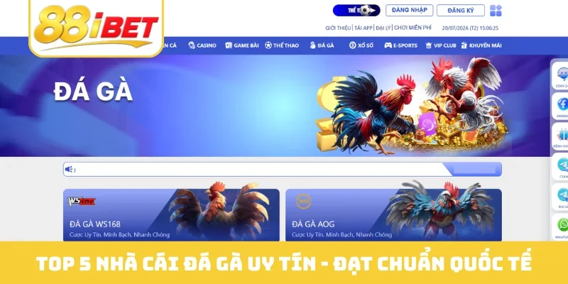 Nhà cái đá gà uy tín